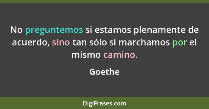 No preguntemos si estamos plenamente de acuerdo, sino tan sólo si marchamos por el mismo camino.... - Goethe