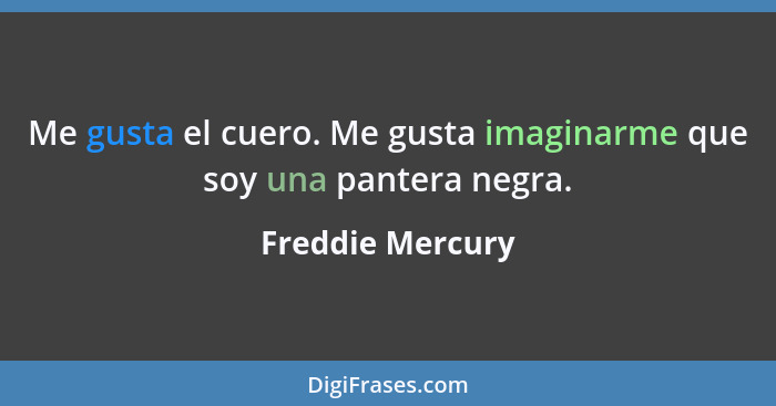 Me gusta el cuero. Me gusta imaginarme que soy una pantera negra.... - Freddie Mercury