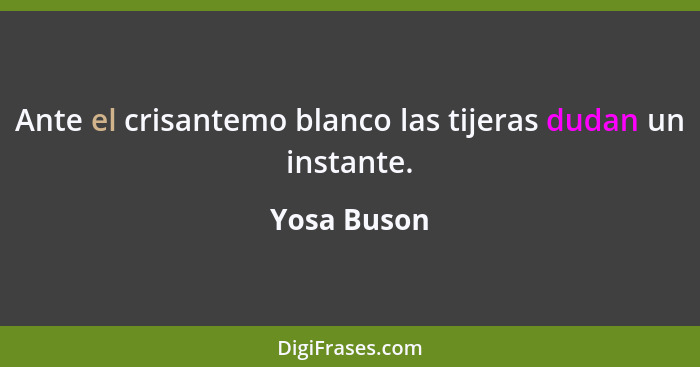 Ante el crisantemo blanco las tijeras dudan un instante.... - Yosa Buson