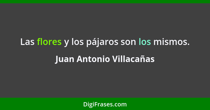 Las flores y los pájaros son los mismos.... - Juan Antonio Villacañas