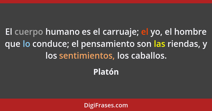 El cuerpo humano es el carruaje; el yo, el hombre que lo conduce; el pensamiento son las riendas, y los sentimientos, los caballos.... - Platón