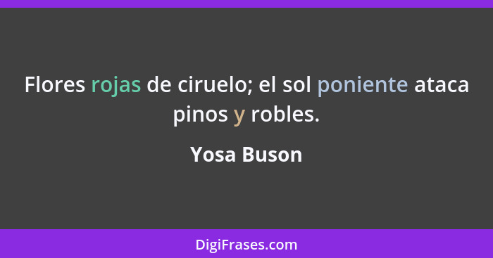 Flores rojas de ciruelo; el sol poniente ataca pinos y robles.... - Yosa Buson