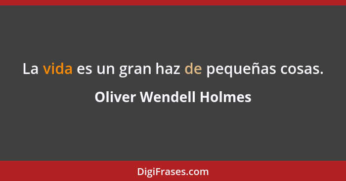 La vida es un gran haz de pequeñas cosas.... - Oliver Wendell Holmes