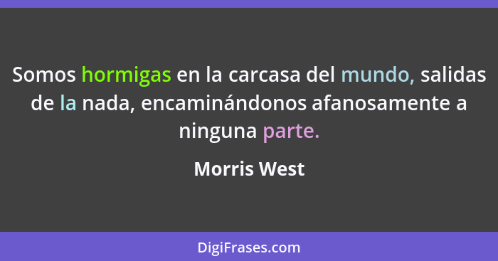 Somos hormigas en la carcasa del mundo, salidas de la nada, encaminándonos afanosamente a ninguna parte.... - Morris West