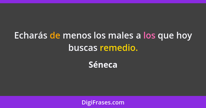 Echarás de menos los males a los que hoy buscas remedio.... - Séneca