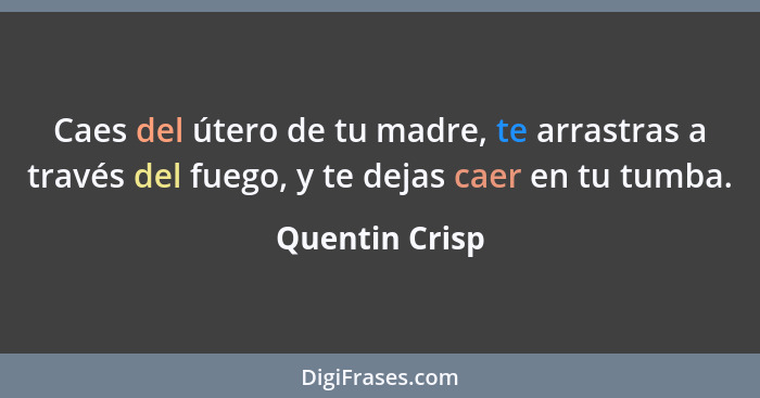 Caes del útero de tu madre, te arrastras a través del fuego, y te dejas caer en tu tumba.... - Quentin Crisp