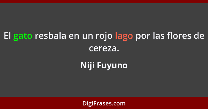 El gato resbala en un rojo lago por las flores de cereza.... - Niji Fuyuno