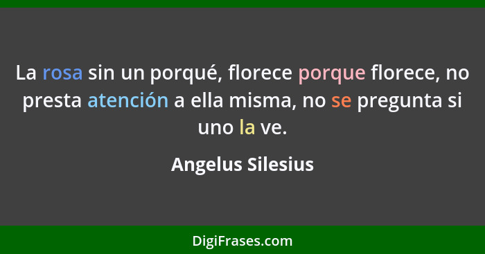 La rosa sin un porqué, florece porque florece, no presta atención a ella misma, no se pregunta si uno la ve.... - Angelus Silesius