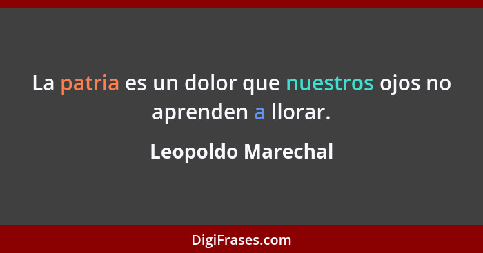 La patria es un dolor que nuestros ojos no aprenden a llorar.... - Leopoldo Marechal