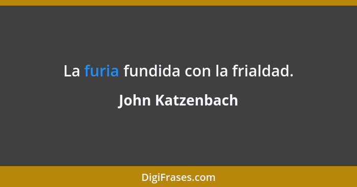 La furia fundida con la frialdad.... - John Katzenbach