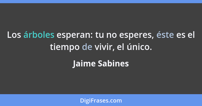 Los árboles esperan: tu no esperes, éste es el tiempo de vivir, el único.... - Jaime Sabines