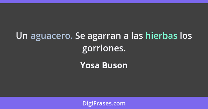 Un aguacero. Se agarran a las hierbas los gorriones.... - Yosa Buson