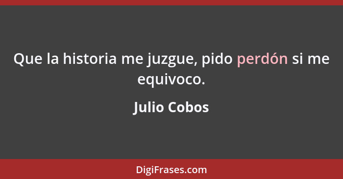 Que la historia me juzgue, pido perdón si me equivoco.... - Julio Cobos