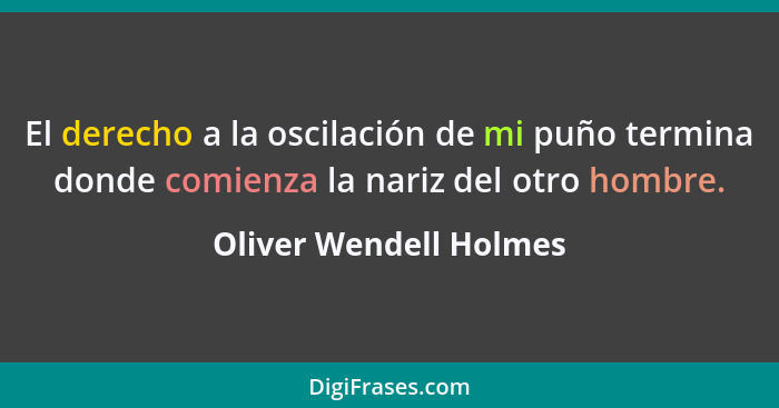 El derecho a la oscilación de mi puño termina donde comienza la nariz del otro hombre.... - Oliver Wendell Holmes