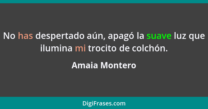 No has despertado aún, apagó la suave luz que ilumina mi trocito de colchón.... - Amaia Montero