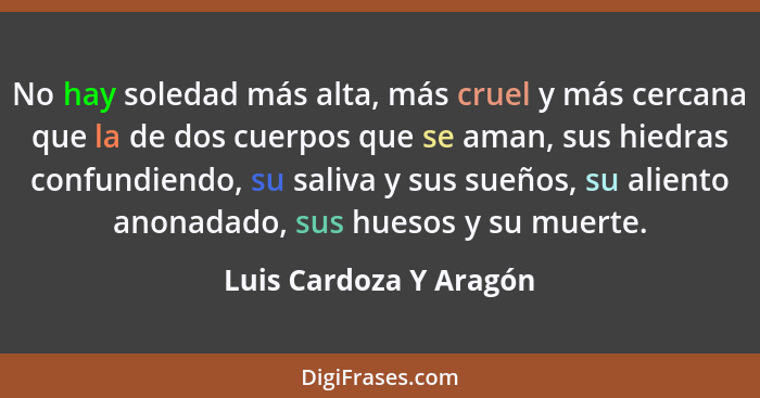 No hay soledad más alta, más cruel y más cercana que la de dos cuerpos que se aman, sus hiedras confundiendo, su saliva y sus... - Luis Cardoza Y Aragón