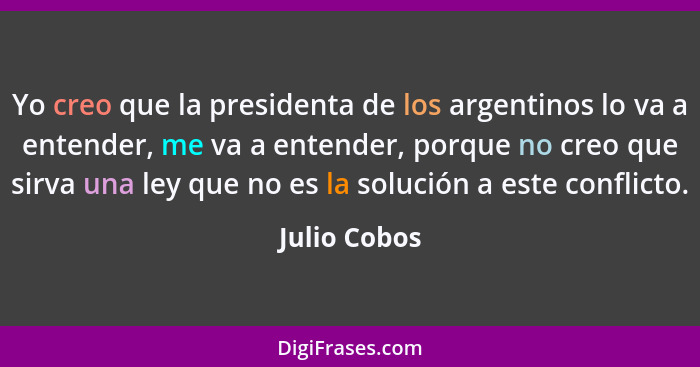 Yo creo que la presidenta de los argentinos lo va a entender, me va a entender, porque no creo que sirva una ley que no es la solución a... - Julio Cobos