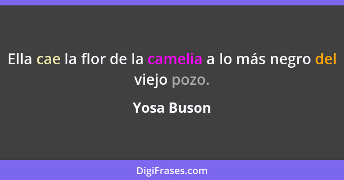 Ella cae la flor de la camelia a lo más negro del viejo pozo.... - Yosa Buson