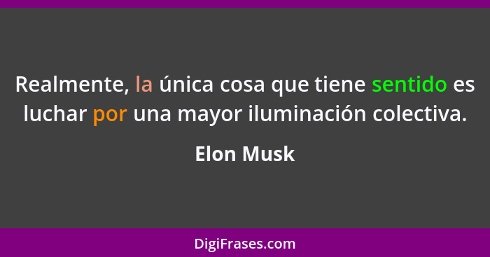 Realmente, la única cosa que tiene sentido es luchar por una mayor iluminación colectiva.... - Elon Musk