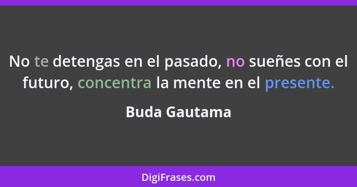 No te detengas en el pasado, no sueñes con el futuro, concentra la mente en el presente.... - Buda Gautama