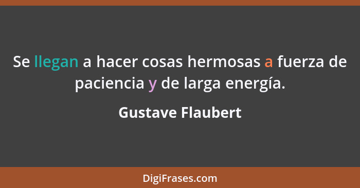 Se llegan a hacer cosas hermosas a fuerza de paciencia y de larga energía.... - Gustave Flaubert