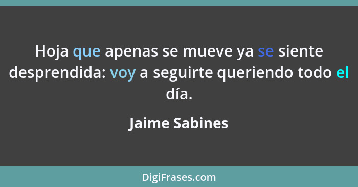 Hoja que apenas se mueve ya se siente desprendida: voy a seguirte queriendo todo el día.... - Jaime Sabines