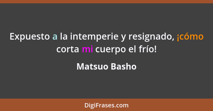 Expuesto a la intemperie y resignado, ¡cómo corta mi cuerpo el frío!... - Matsuo Basho