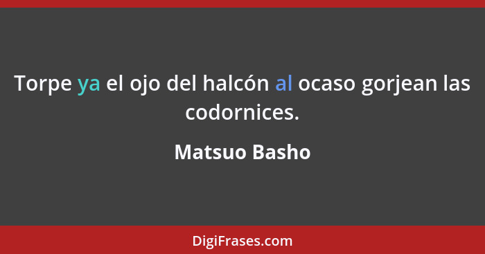 Torpe ya el ojo del halcón al ocaso gorjean las codornices.... - Matsuo Basho