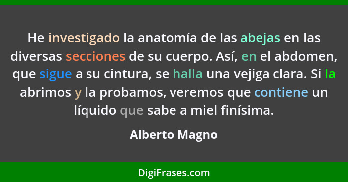 He investigado la anatomía de las abejas en las diversas secciones de su cuerpo. Así, en el abdomen, que sigue a su cintura, se halla... - Alberto Magno