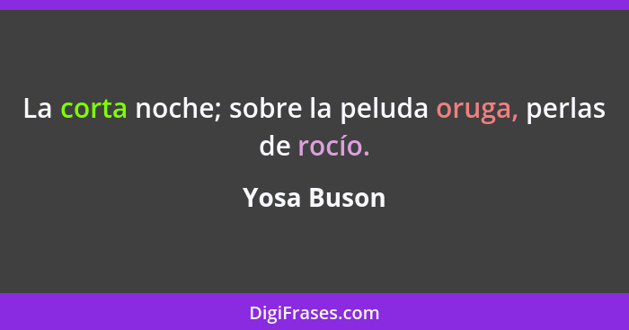 La corta noche; sobre la peluda oruga, perlas de rocío.... - Yosa Buson