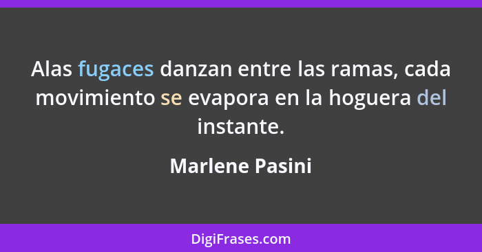 Alas fugaces danzan entre las ramas, cada movimiento se evapora en la hoguera del instante.... - Marlene Pasini