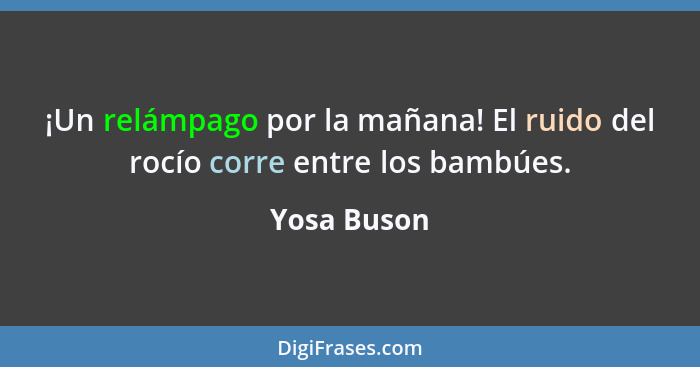 ¡Un relámpago por la mañana! El ruido del rocío corre entre los bambúes.... - Yosa Buson