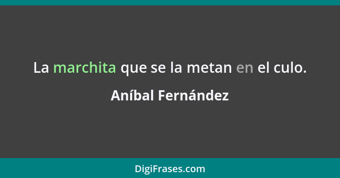 La marchita que se la metan en el culo.... - Aníbal Fernández