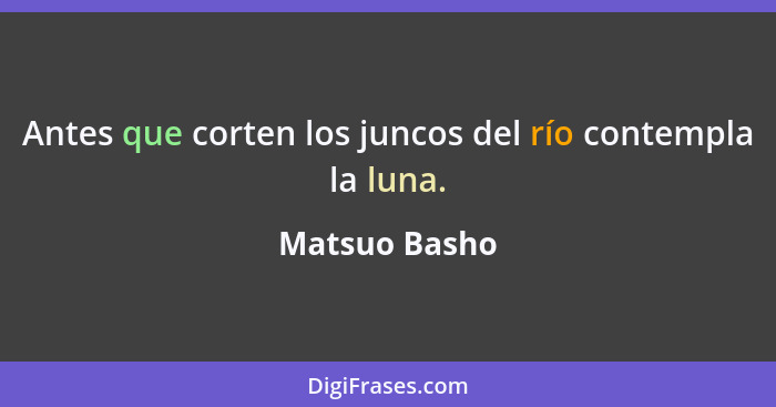 Antes que corten los juncos del río contempla la luna.... - Matsuo Basho