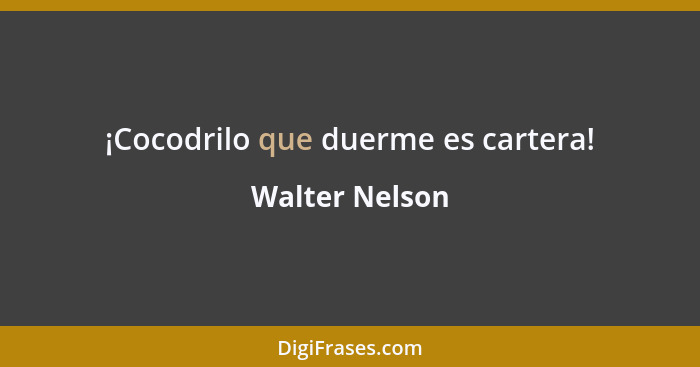 ¡Cocodrilo que duerme es cartera!... - Walter Nelson