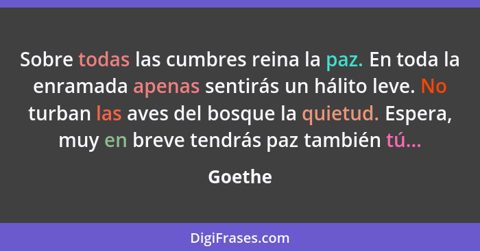 Sobre todas las cumbres reina la paz. En toda la enramada apenas sentirás un hálito leve. No turban las aves del bosque la quietud. Espera, m... - Goethe