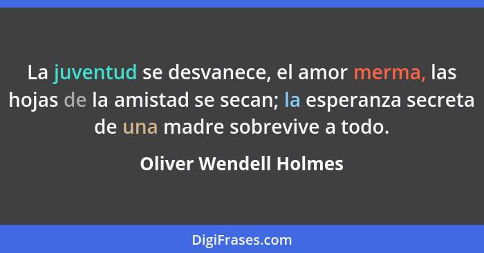 La juventud se desvanece, el amor merma, las hojas de la amistad se secan; la esperanza secreta de una madre sobrevive a todo.... - Oliver Wendell Holmes