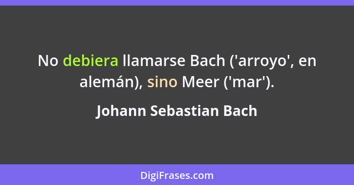 No debiera llamarse Bach ('arroyo', en alemán), sino Meer ('mar').... - Johann Sebastian Bach