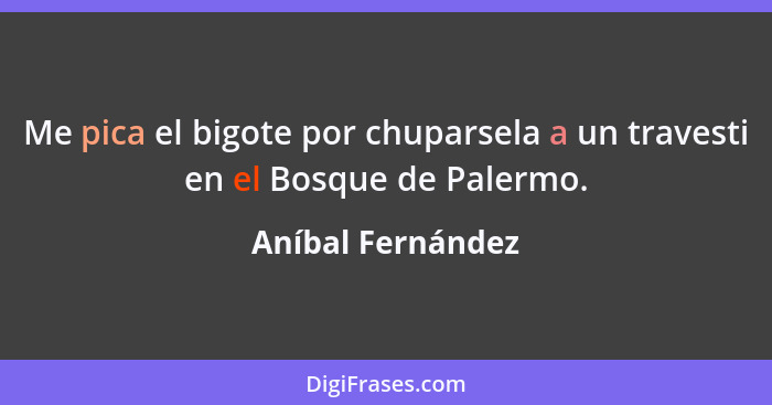 Me pica el bigote por chuparsela a un travesti en el Bosque de Palermo.... - Aníbal Fernández