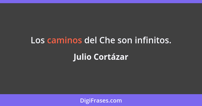 Los caminos del Che son infinitos.... - Julio Cortázar