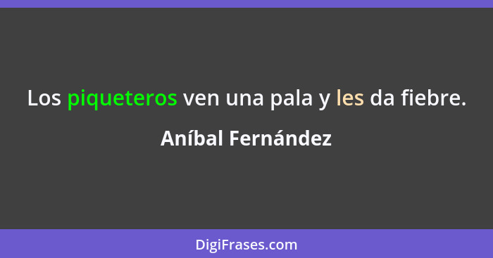 Los piqueteros ven una pala y les da fiebre.... - Aníbal Fernández