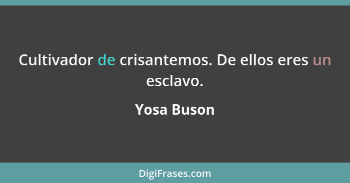 Cultivador de crisantemos. De ellos eres un esclavo.... - Yosa Buson