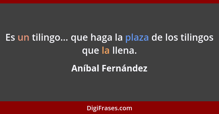 Es un tilingo... que haga la plaza de los tilingos que la llena.... - Aníbal Fernández