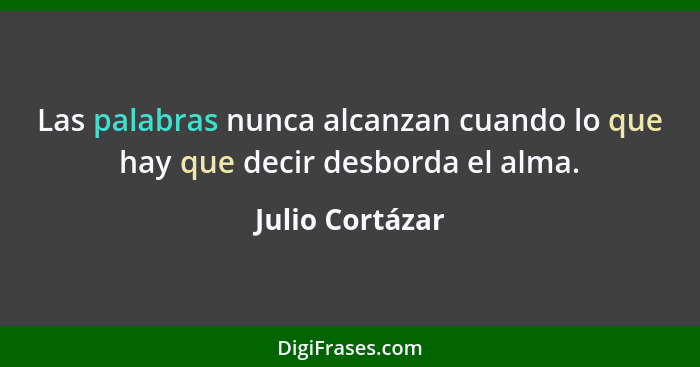 Las palabras nunca alcanzan cuando lo que hay que decir desborda el alma.... - Julio Cortázar