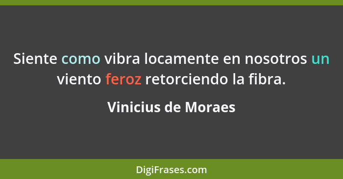 Siente como vibra locamente en nosotros un viento feroz retorciendo la fibra.... - Vinicius de Moraes