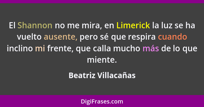 El Shannon no me mira, en Limerick la luz se ha vuelto ausente, pero sé que respira cuando inclino mi frente, que calla mucho más... - Beatriz Villacañas