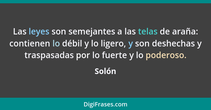 Las leyes son semejantes a las telas de araña: contienen lo débil y lo ligero, y son deshechas y traspasadas por lo fuerte y lo poderoso.... - Solón