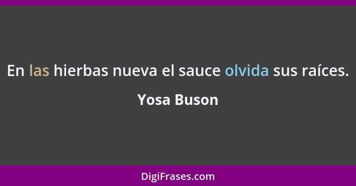 En las hierbas nueva el sauce olvida sus raíces.... - Yosa Buson