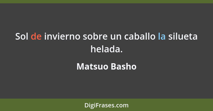 Sol de invierno sobre un caballo la silueta helada.... - Matsuo Basho