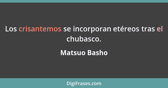 Los crisantemos se incorporan etéreos tras el chubasco.... - Matsuo Basho